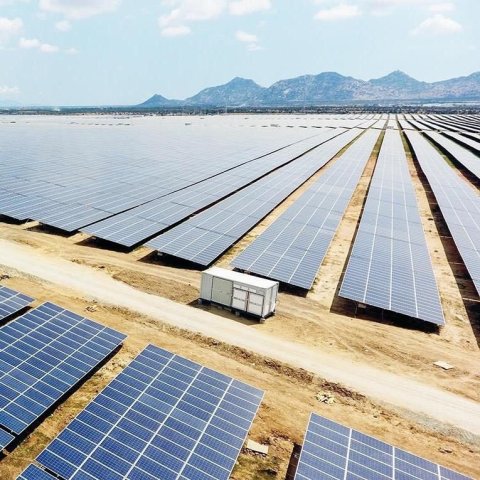 Nhật Trường Bình Thuận